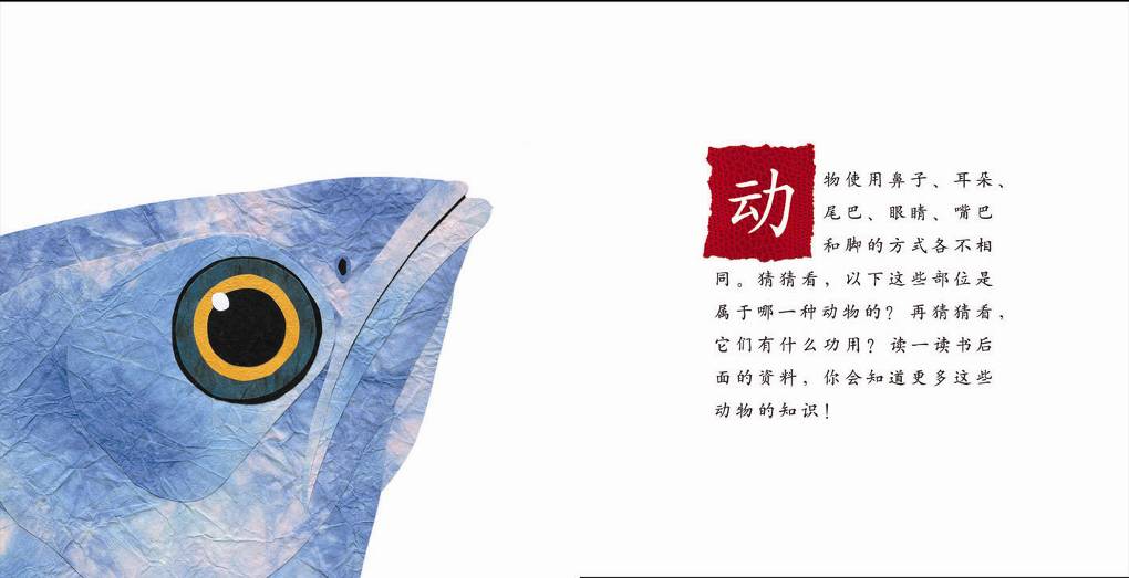 这样的尾巴可以做什么 (02),绘本,绘本故事,绘本阅读,故事书,童书,图画书,课外阅读